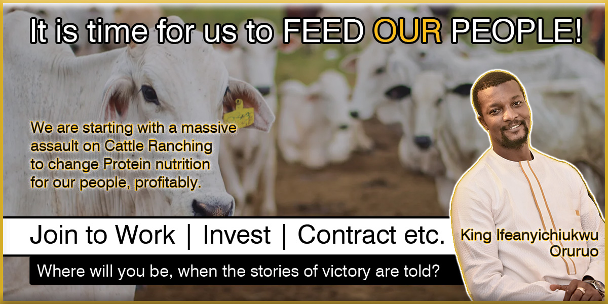 Home-Feeding-our-people-Cattle