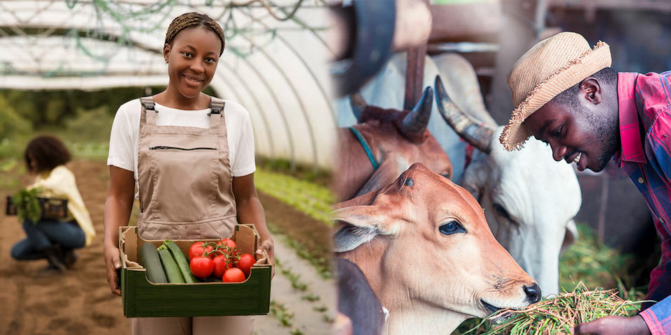 X-Jobs-Opi-Nsukka X-Jobs-Opi-Nsukka